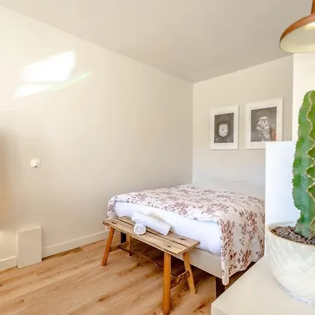 Roussel L Bright & Ac L Shellter * Saint-Tropez