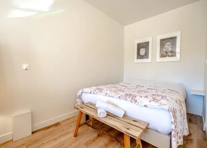 Daire Roussel L Bright & Ac L Shellter